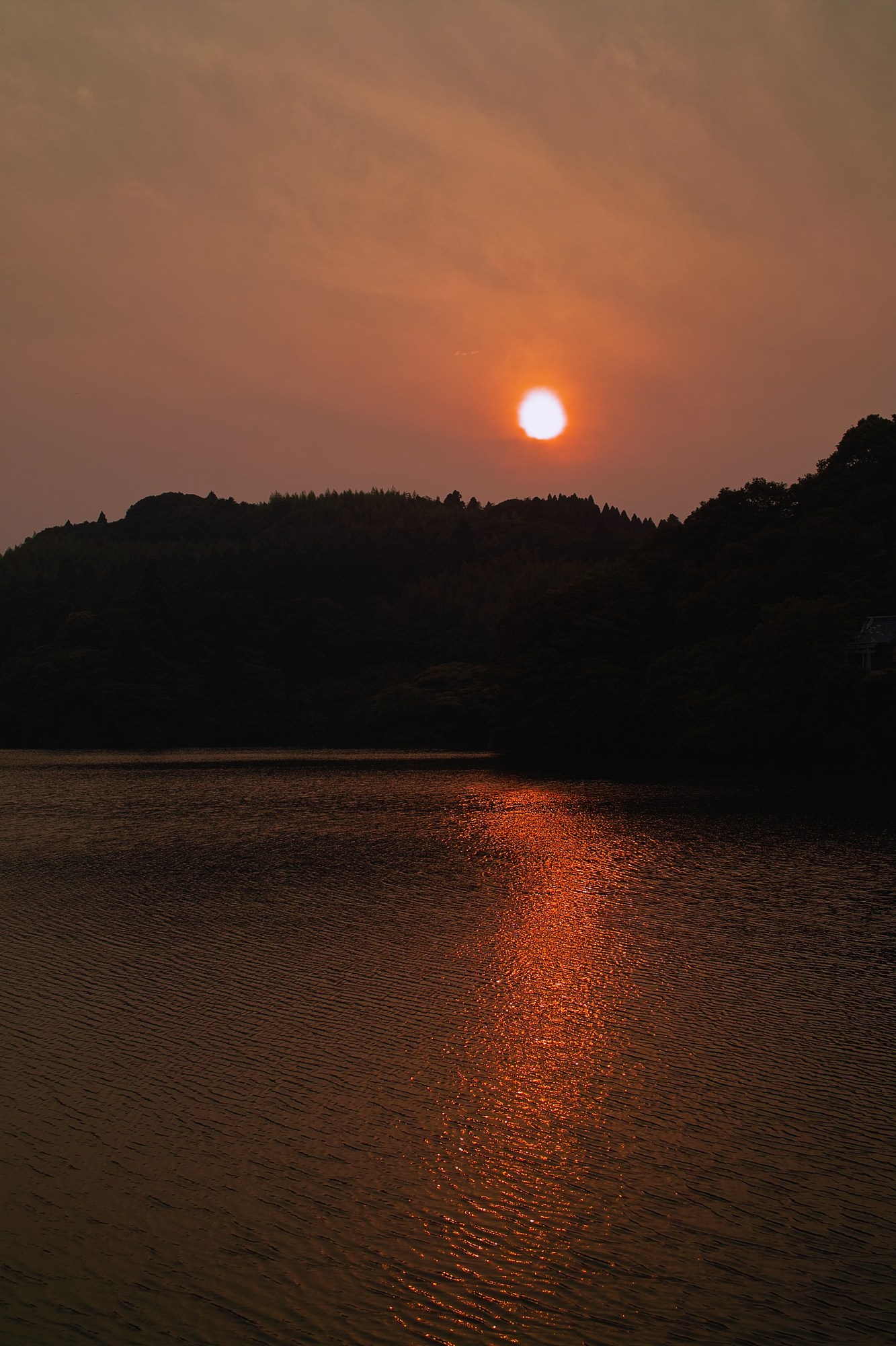 e0071178_20111593.jpg