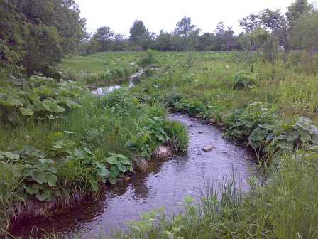 十勝への旅2_a0106483_1452013.jpg