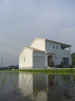 f0198684_20384549.jpg