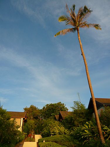 c0102085_9193186.jpg