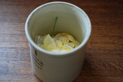 イングリッシュローズの花びら何枚?_d0129786_12554834.jpg