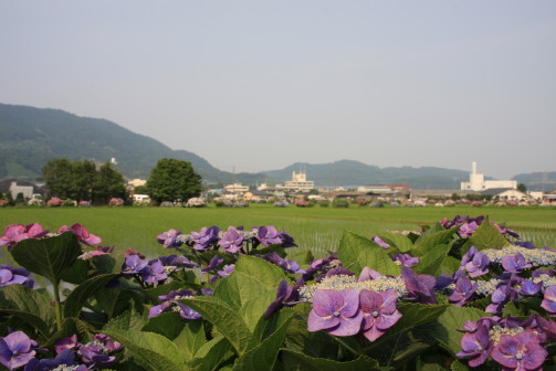 c0158597_1945843.jpg