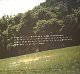 矢沢永吉　全シングル・アルバム　2_b0033699_343495.jpg