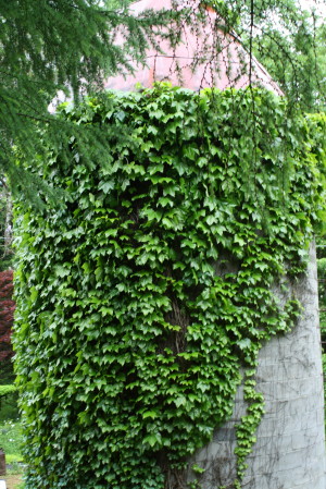 かくれ家_c0190900_9384439.jpg