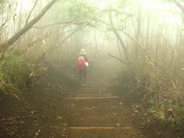 大山(1252m)、再登頂_b0060402_21555238.jpg