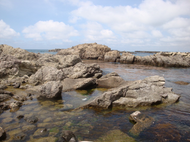 e0175905_20325915.jpg