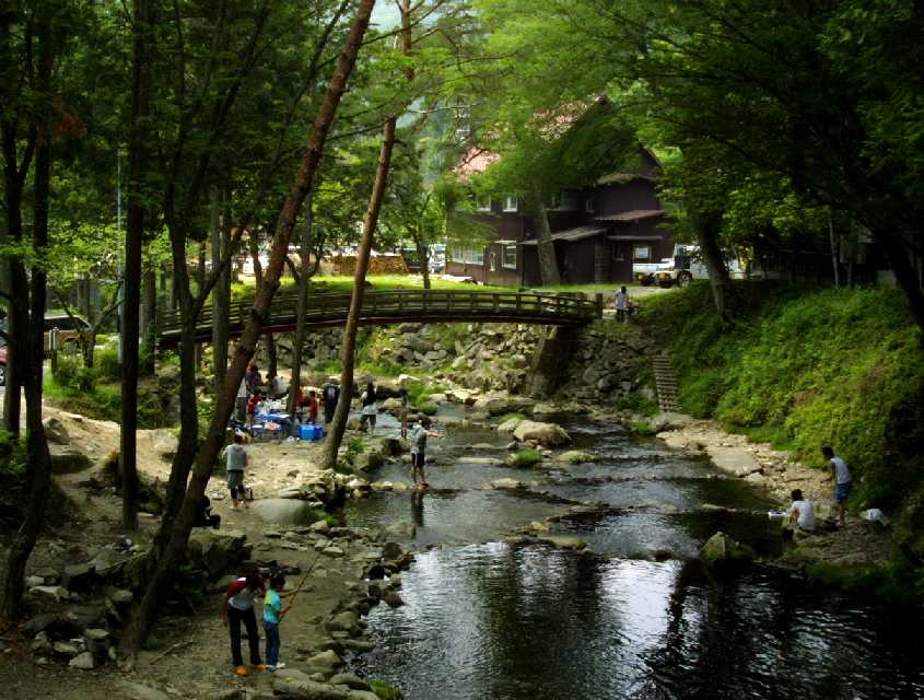 　神越渓谷の川ツツジ　　　　６．１４_d0140806_23484253.jpg