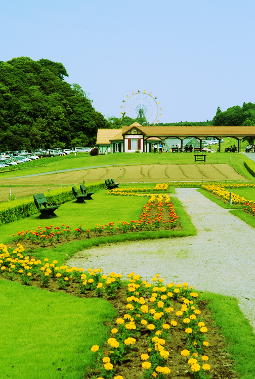 花と緑にあふれるくつろぎの場所。日本にいながらにしてドイツの田園風景を。_c0191707_15341914.jpg