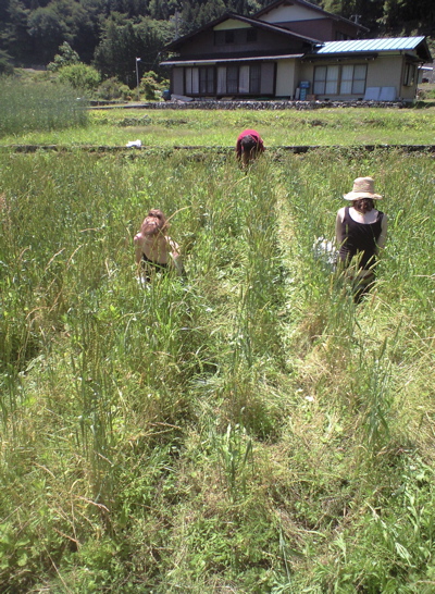 f0135908_659325.jpg