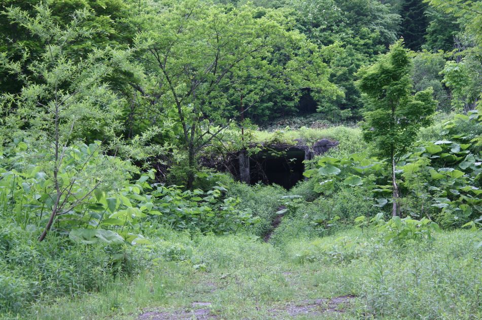 d0119909_1013447.jpg