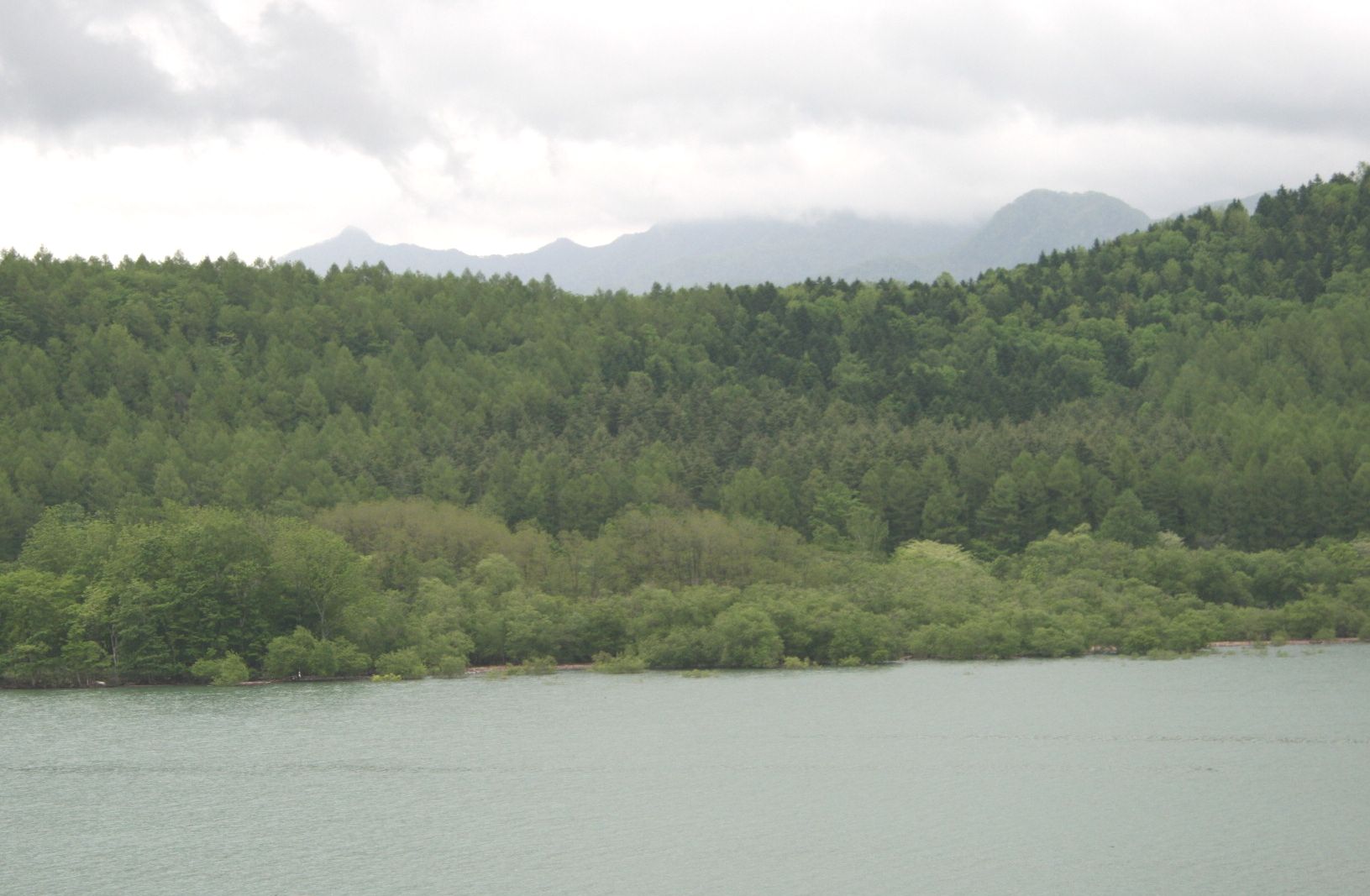 d0119909_102756.jpg
