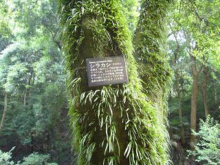 c0192215_7142641.jpg