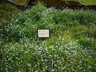 c0192215_71840100.jpg