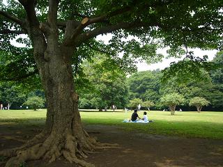 c0192215_7395360.jpg