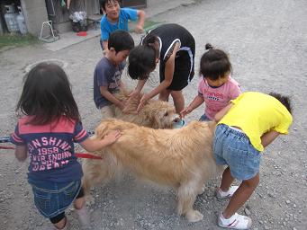 5月31日　猫　子供たち、いろいろ_e0136815_9344175.jpg