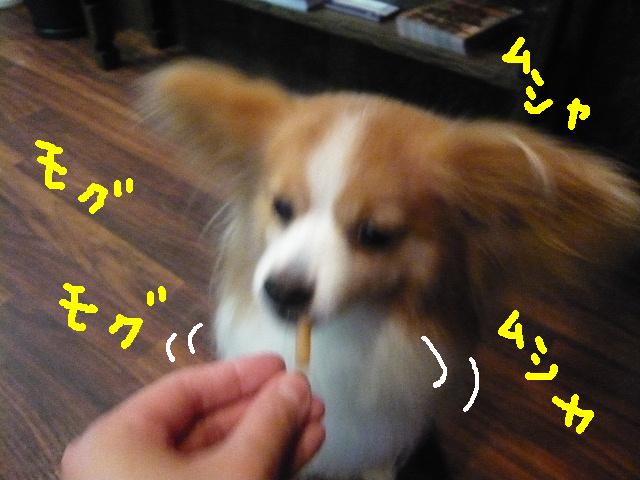 遊びますよ！＆ロックオン！＆もう１本！_b0130018_15185752.jpg