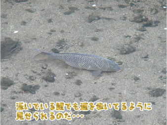 散歩部活動報告 「星のブランコ」つづき_e0142619_1212844.jpg