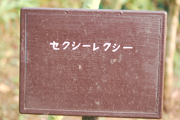 b0061023_23573410.jpg