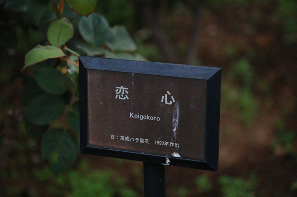 b0061023_23574545.jpg