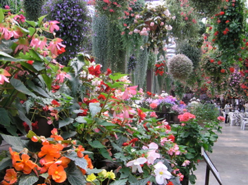 f0128723_0105357.jpg