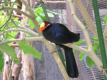 f0128723_0123573.jpg