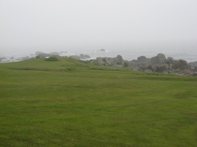 種差海岸(八戸市)*2009.06.11_b0147224_16351543.jpg