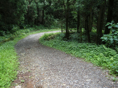 小机林道〜梅野木峠〜鋸山林道_e0123825_021265.jpg