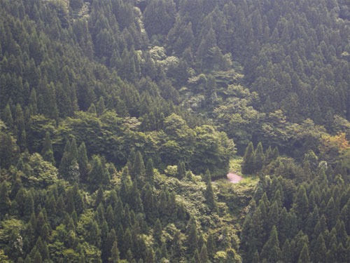 小机林道〜梅野木峠〜鋸山林道_e0123825_0344199.jpg