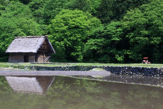 c0124029_1735145.jpg