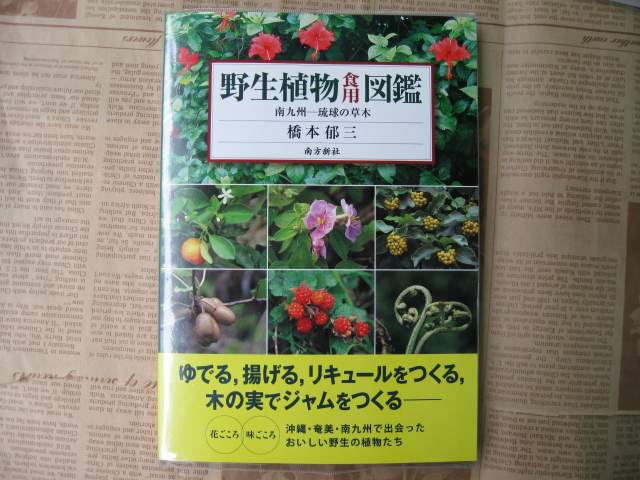 奄美の植物関係の本 創作工房 さねんばな 奄美の植物関係の本 創作工房 さねんばな