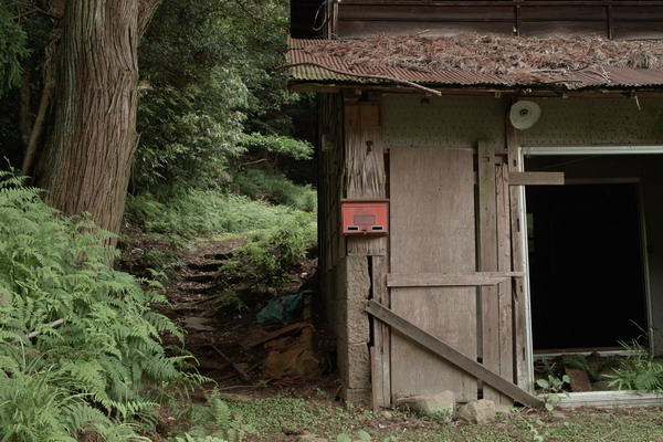 c0058941_2051794.jpg