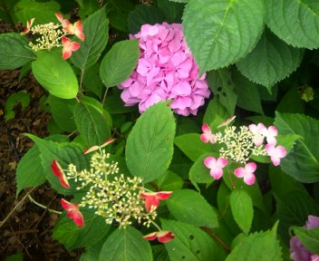 e0069647_2002188.jpg