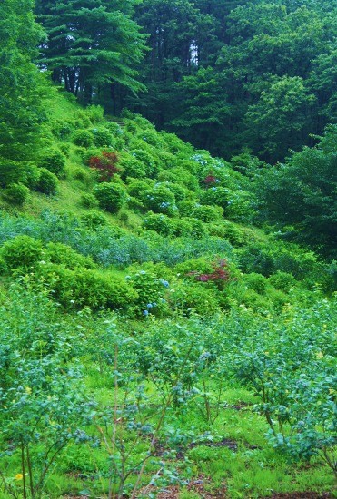 e0126350_23155416.jpg