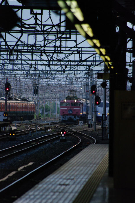f0152550_1730157.jpg