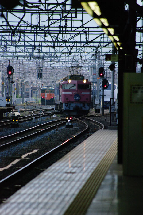 f0152550_1730821.jpg
