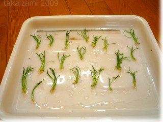 e0139056_20211277.jpg