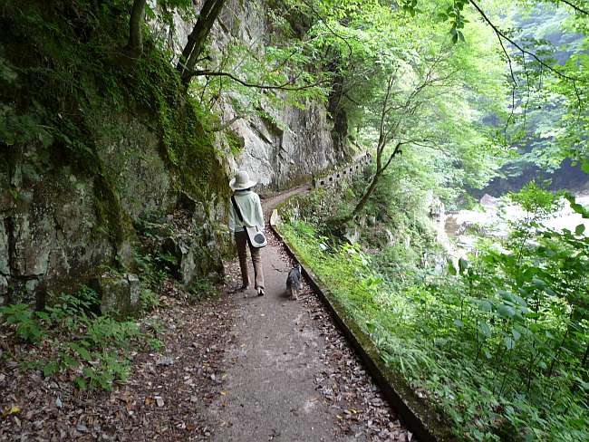 ２００９年６月　温井スプリングスの旅　その１_c0109957_21472990.jpg