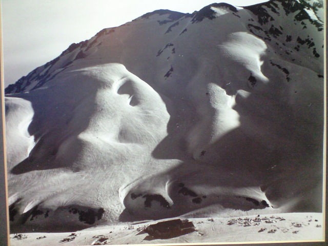 d0110562_231692.jpg
