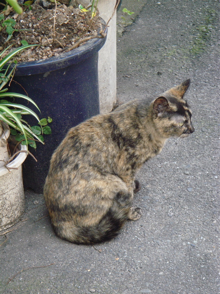 e0125762_12201099.jpg