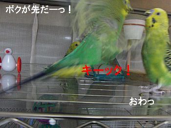 f0196665_23565559.jpg