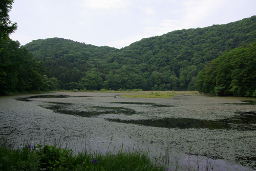 上州の沼へ_e0167571_0131984.jpg