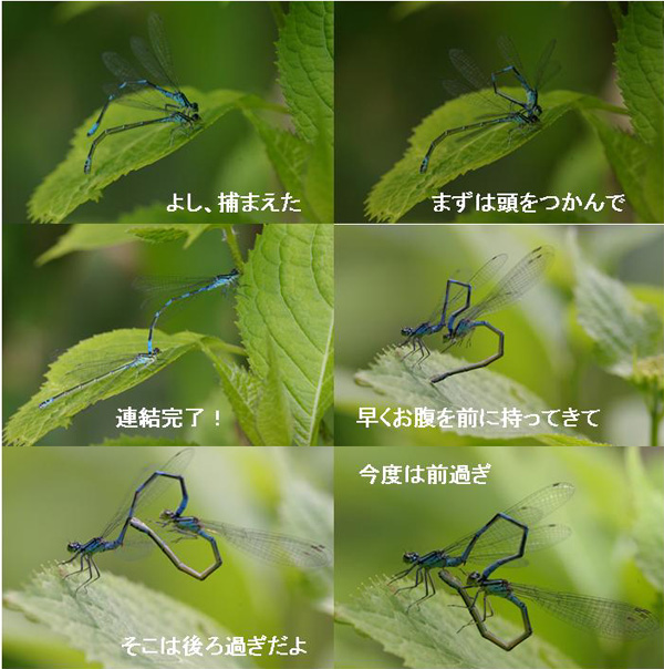 上州の沼へ_e0167571_0144929.jpg