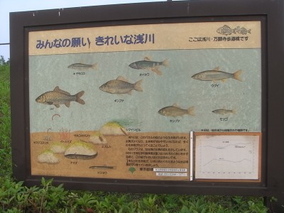 c0112172_02204.jpg