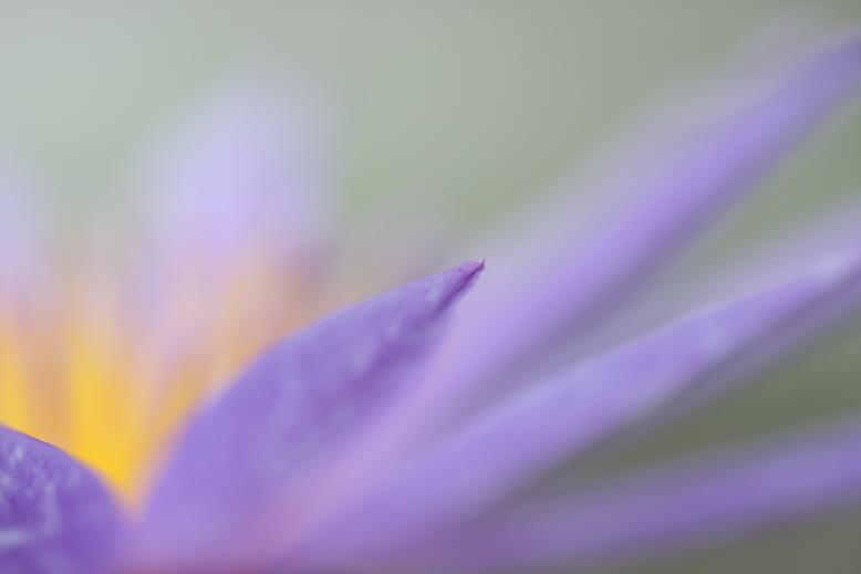 オフ会　水生植物公園みずの森_c0153672_19351543.jpg