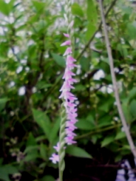 b0134673_21285217.jpg