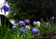 b0134673_2131620.jpg