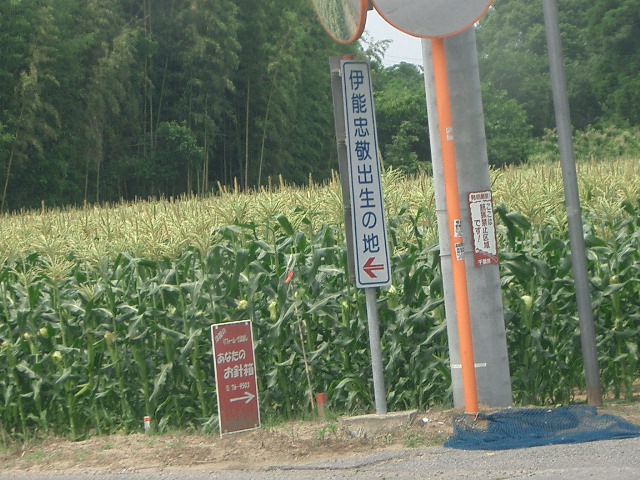 急な話で行く事になっちゃった千葉県片貝_c0162773_2153378.jpg