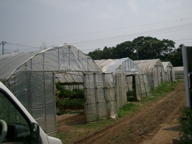 急な話で行く事になっちゃった千葉県片貝_c0162773_21552858.jpg