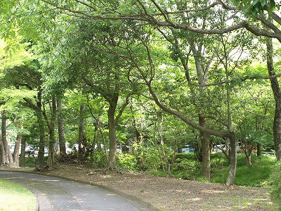 d0054276_14435711.jpg