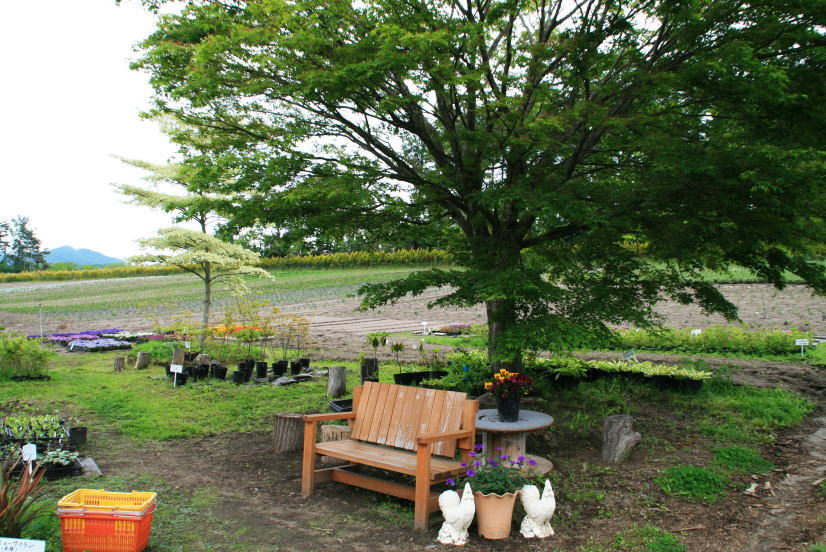 c0112479_2053133.jpg